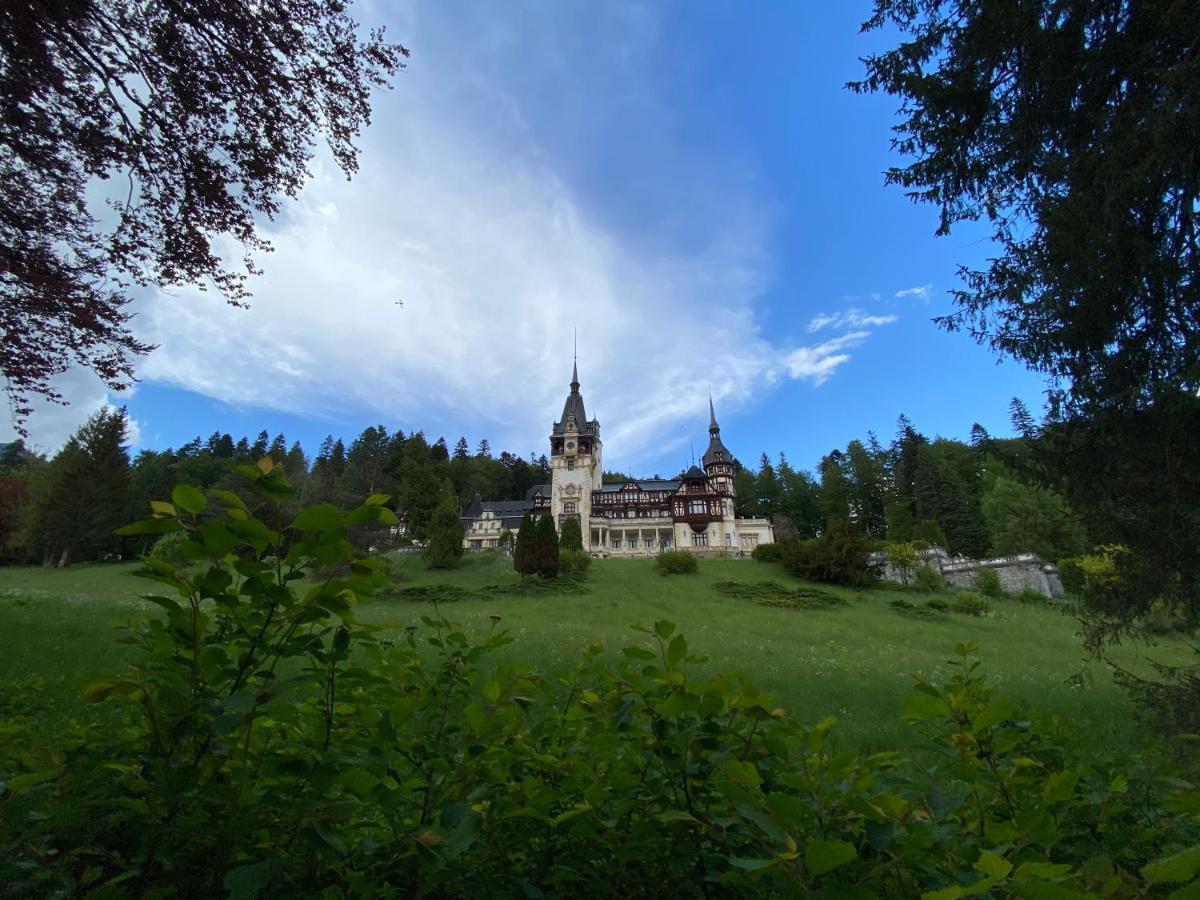 Vila De Argint Aleea Pelesului Nr 2 Sinaia Exteriör bild