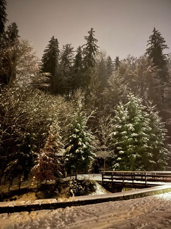 Vila De Argint Aleea Pelesului Nr 2 Sinaia Exteriör bild