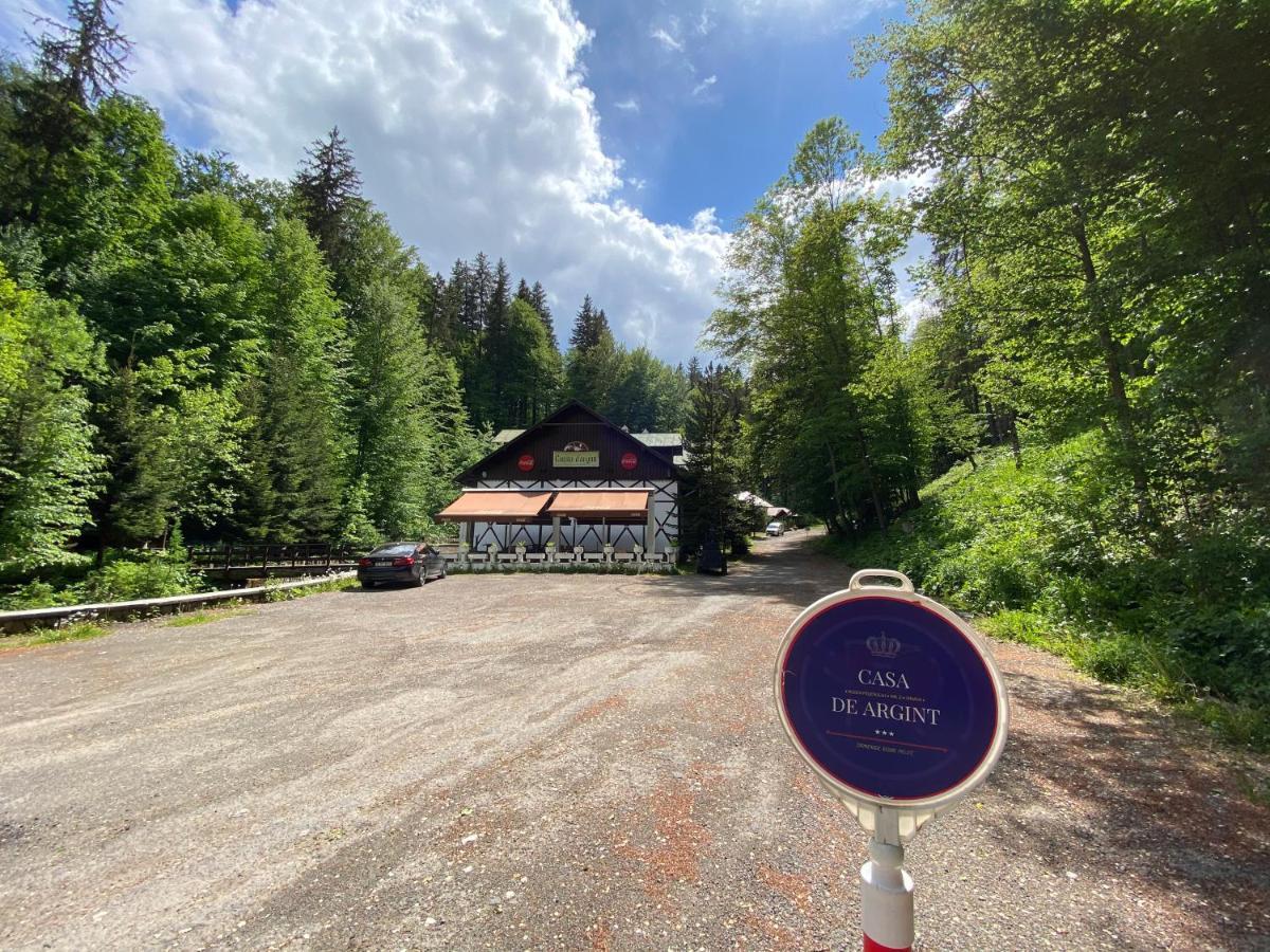 Vila De Argint Aleea Pelesului Nr 2 Sinaia Exteriör bild