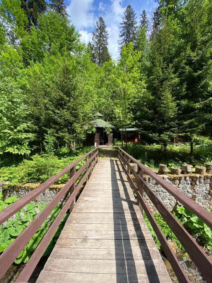 Vila De Argint Aleea Pelesului Nr 2 Sinaia Exteriör bild
