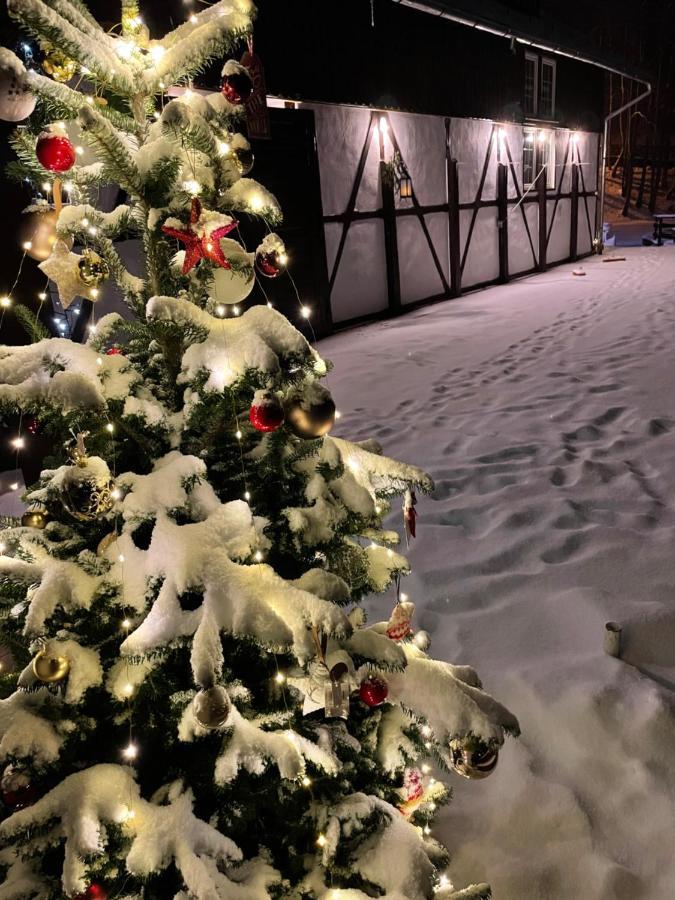 Vila De Argint Aleea Pelesului Nr 2 Sinaia Exteriör bild