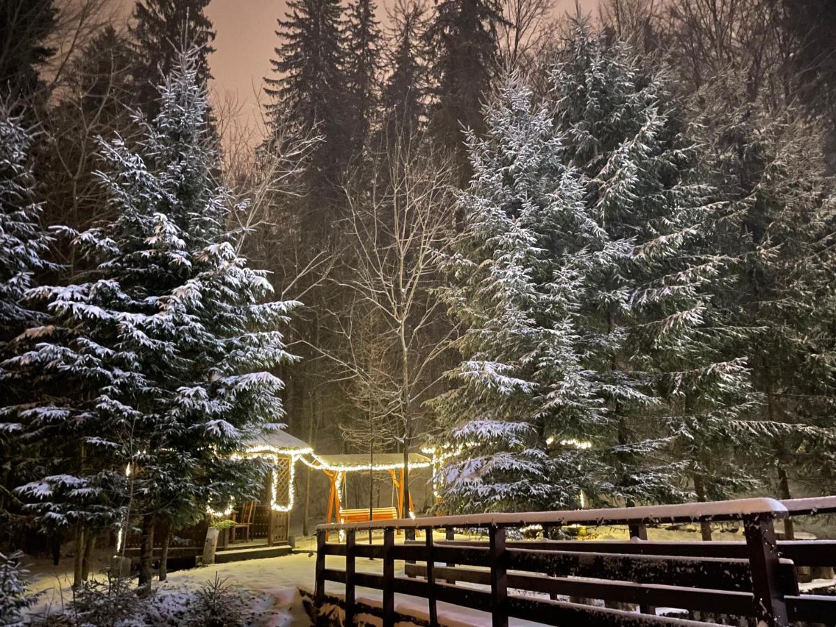 Vila De Argint Aleea Pelesului Nr 2 Sinaia Exteriör bild