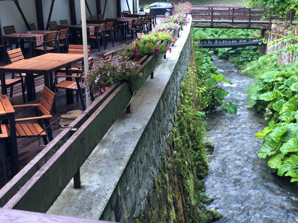 Vila De Argint Aleea Pelesului Nr 2 Sinaia Exteriör bild