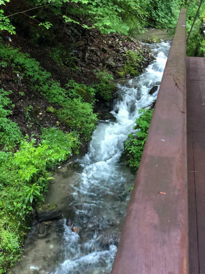 Vila De Argint Aleea Pelesului Nr 2 Sinaia Exteriör bild