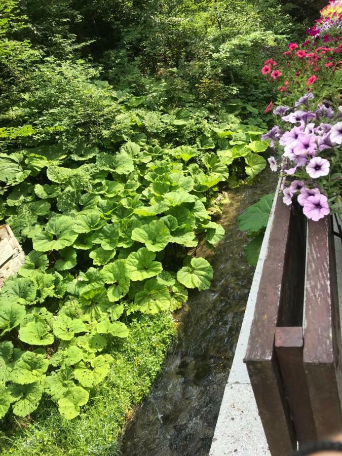 Vila De Argint Aleea Pelesului Nr 2 Sinaia Exteriör bild