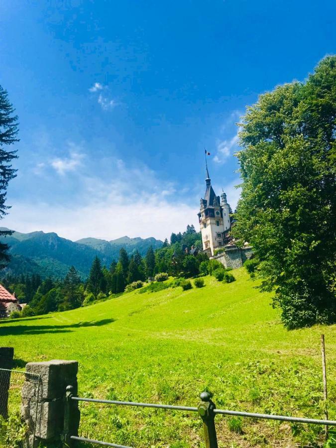 Vila De Argint Aleea Pelesului Nr 2 Sinaia Exteriör bild
