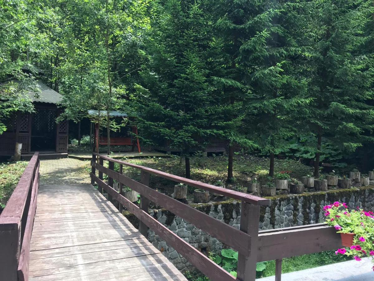 Vila De Argint Aleea Pelesului Nr 2 Sinaia Exteriör bild
